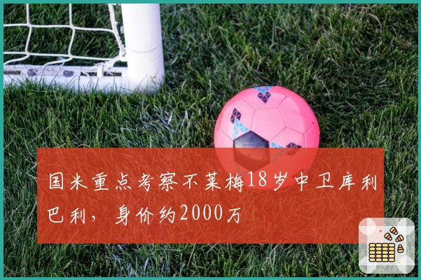 国米重点考察不莱梅18岁中卫库利巴利，身价约2000万