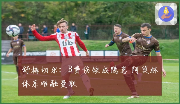 舒梅切尔：B费伤缺成隐患 阿莫林体系难融曼联